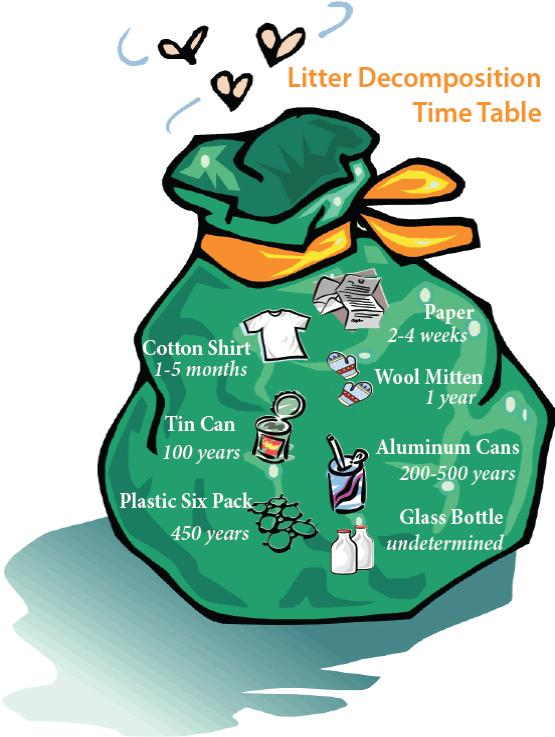 decomposition time table green bag