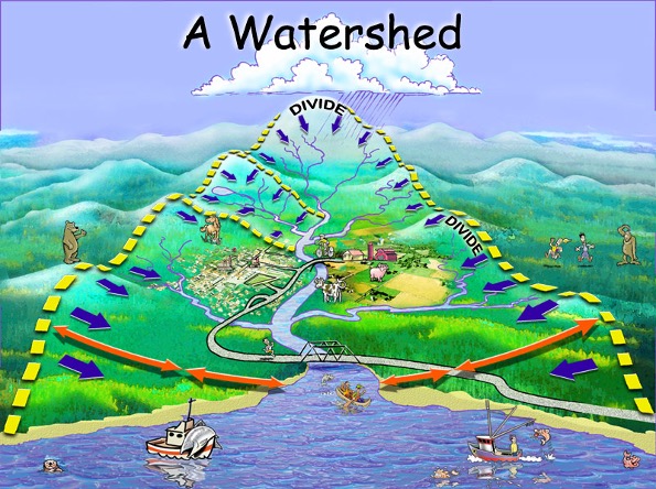 A Watershed Image
